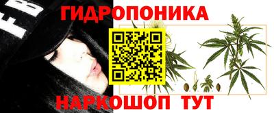 Альфа ПВП Северобайкальск