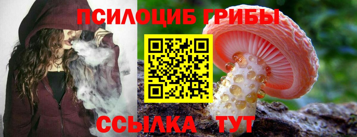 Галлюциногенные грибы ЛСД Славгород