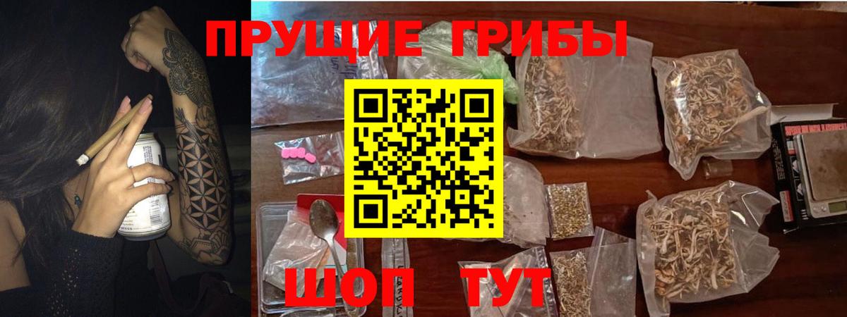 Славгород  Галлюциногенные грибы Psilocybine cubensis  Псилоцибиновые грибы Psilocybe  Вход с VPN 